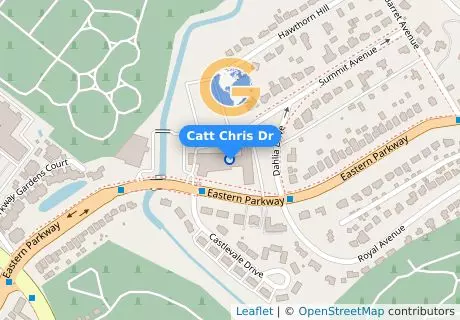 Catt Chris Dr