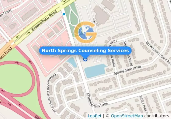 North Springs Counseling Services