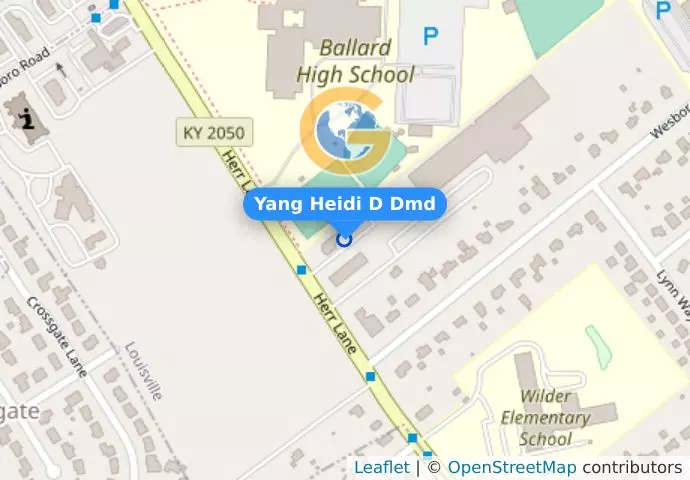 Yang Heidi D Dmd