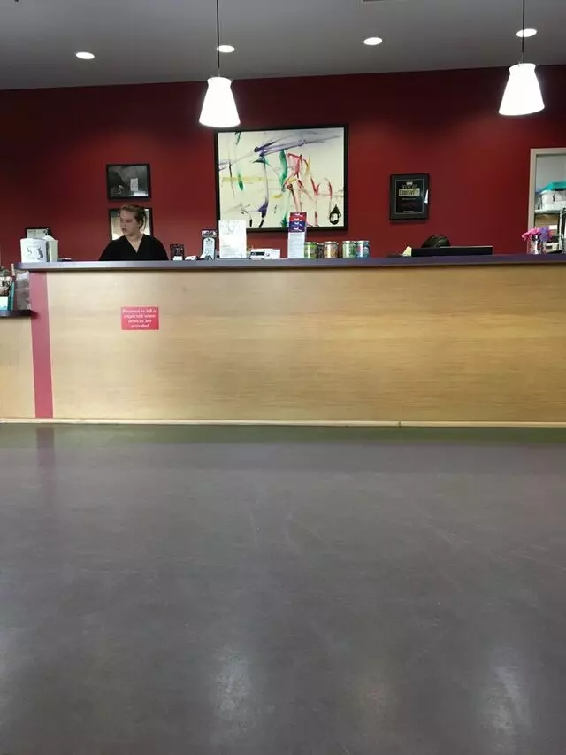 All Pets Veterinary Center