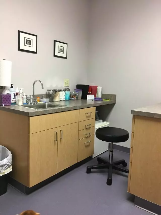 All Pets Veterinary Center