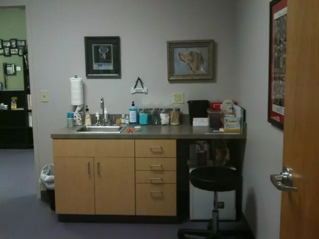 All Pets Veterinary Center