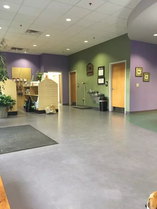 All Pets Veterinary Center