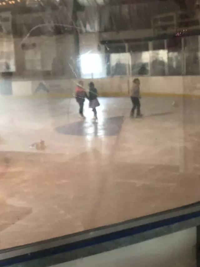 Alpine Ice Arena