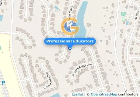 Professional Educators
