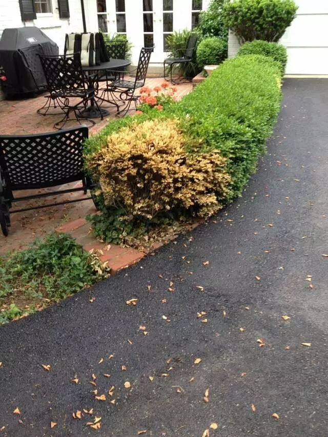 ADC Paving