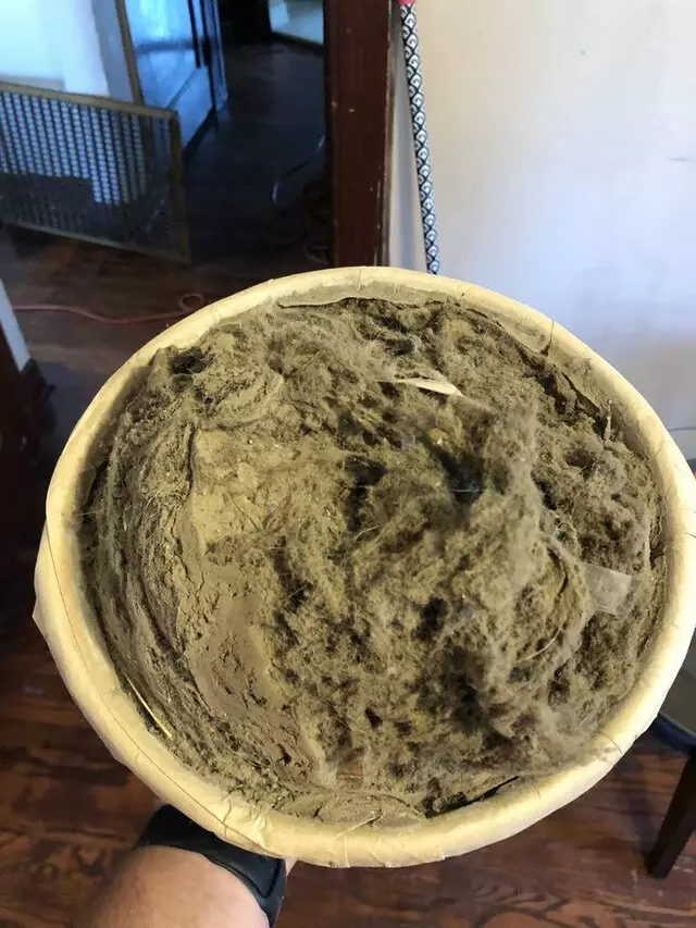 A-1 Kwik Dry Carpet Cleaning & Air Duct Cleaning