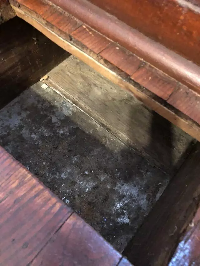 A-1 Kwik Dry Carpet Cleaning & Air Duct Cleaning