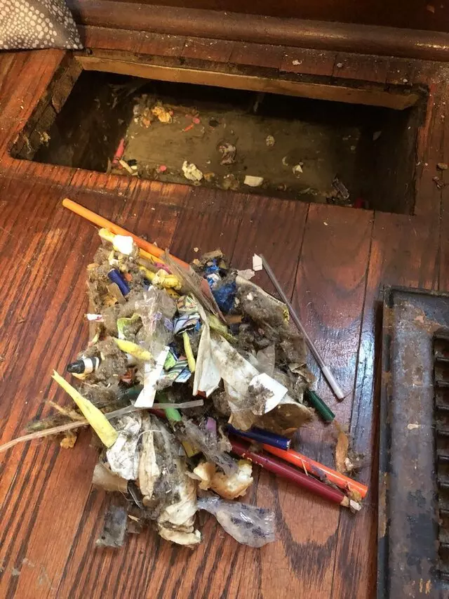 A-1 Kwik Dry Carpet Cleaning & Air Duct Cleaning