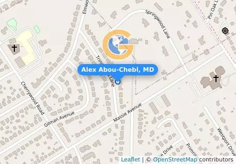 Alex Abou-Chebl, MD