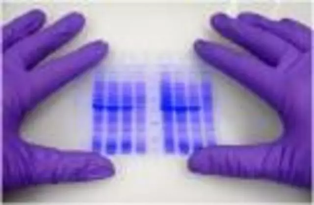 AccuGen DNA Service