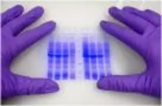AccuGen DNA Service