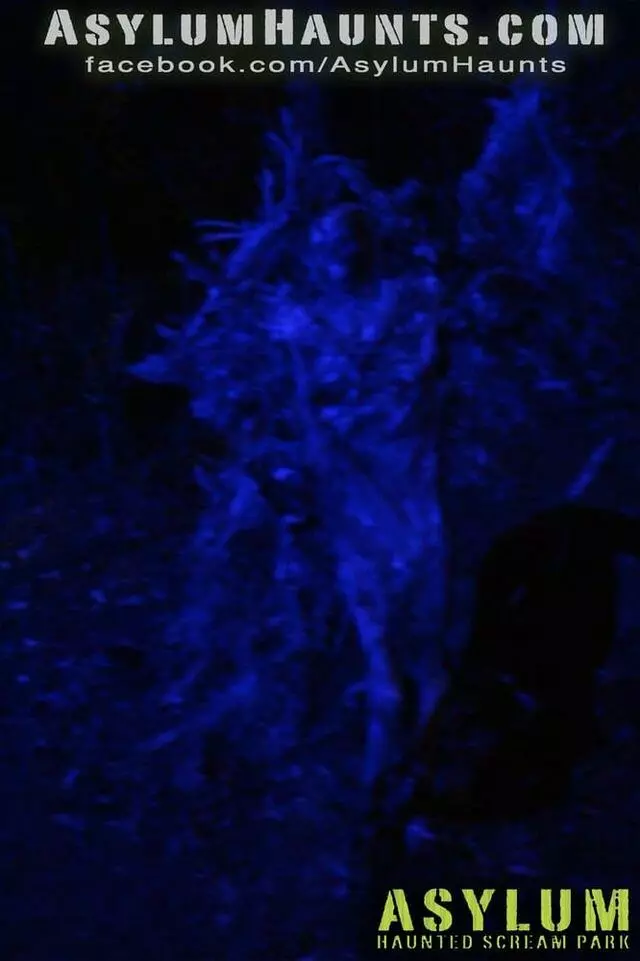 Asylum Haunted Scream Park