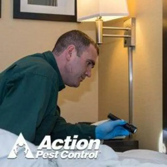 Action Pest Control