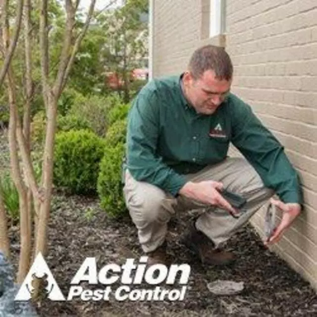 Action Pest Control