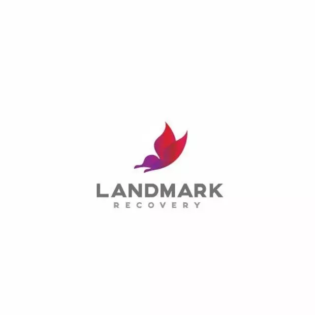 Landmark Recovery