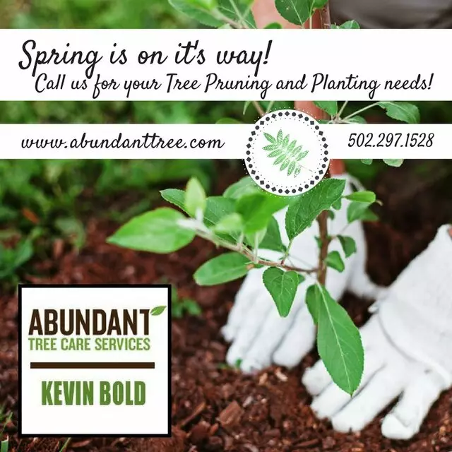 Abundant Tree Care Services