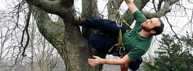 Abundant Tree Care Services