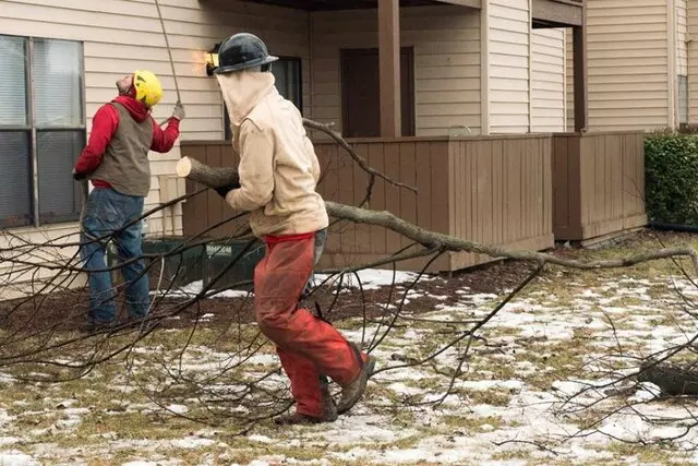 Abundant Tree Care Services