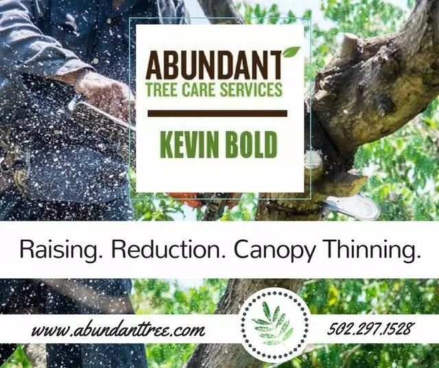 Abundant Tree Care Services