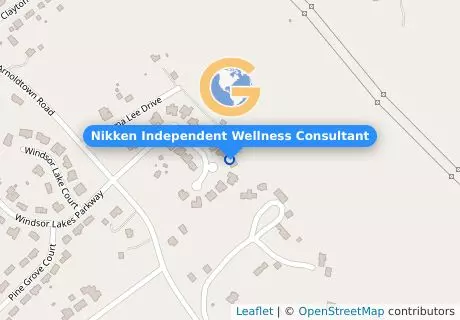 Nikken Independent Wellness Consultant