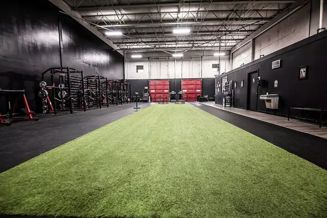 Everyday Athletes