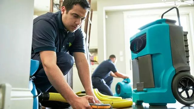 ServiceMaster Cleaning and Restoration by Porchlight