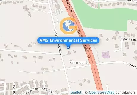 AMS Environmental Services