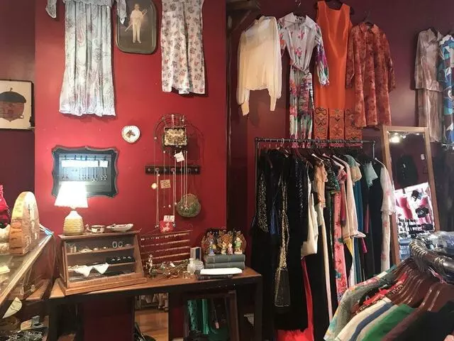 Acorn Apparel