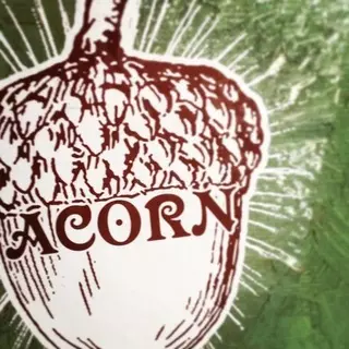Acorn Apparel