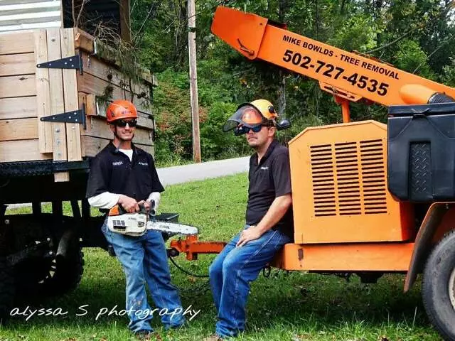 ArborTECH Tree Removal & Preservation