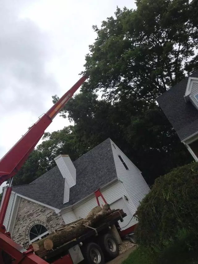 ArborTECH Tree Removal & Preservation