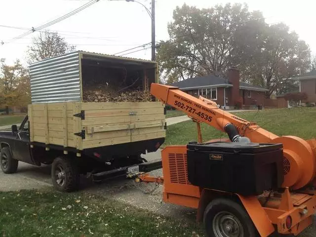 ArborTECH Tree Removal & Preservation