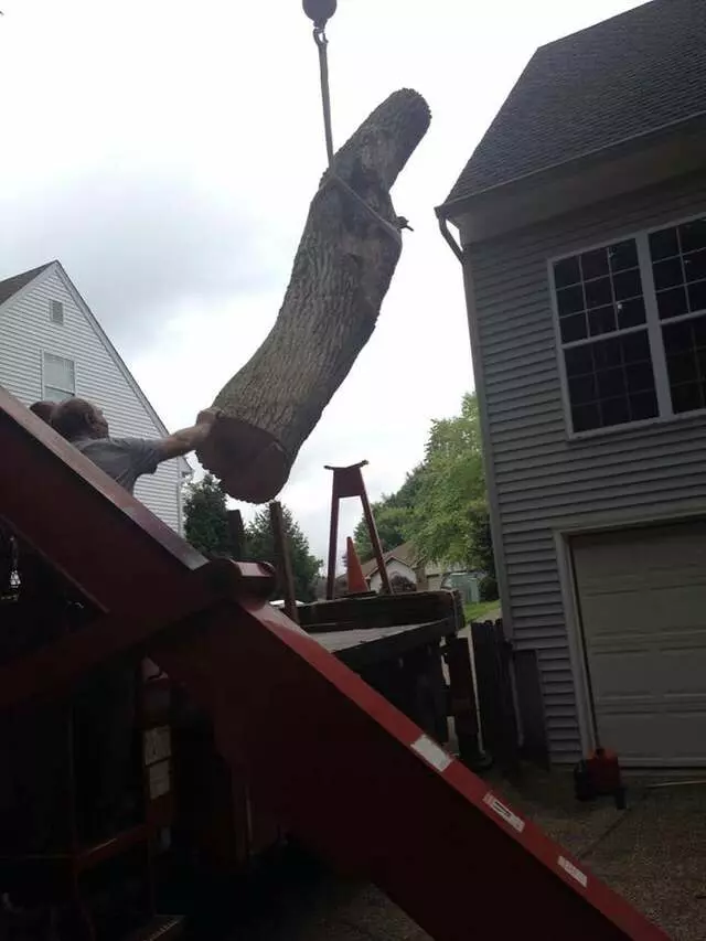 ArborTECH Tree Removal & Preservation