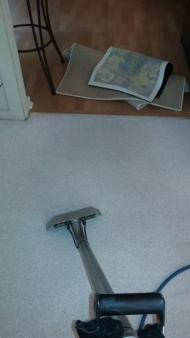 All-Timate Cleaning Pros