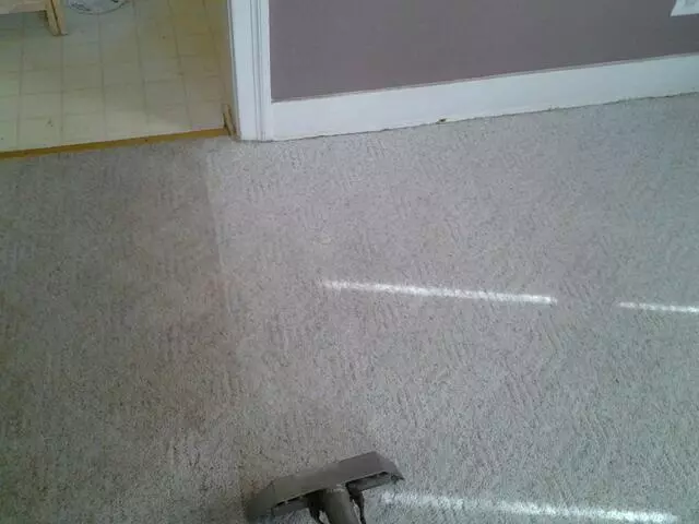 All-Timate Cleaning Pros