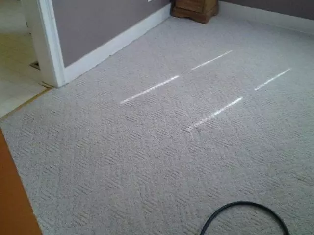 All-Timate Cleaning Pros