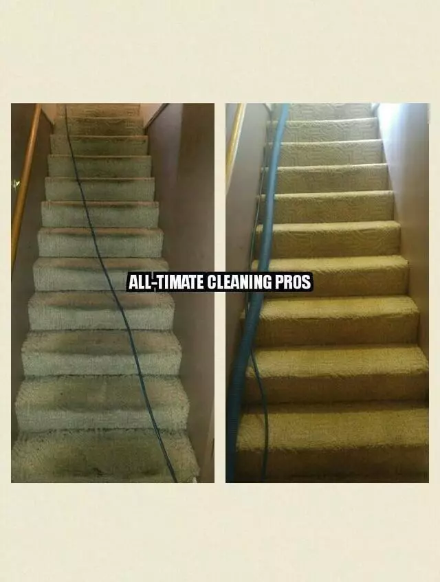 All-Timate Cleaning Pros