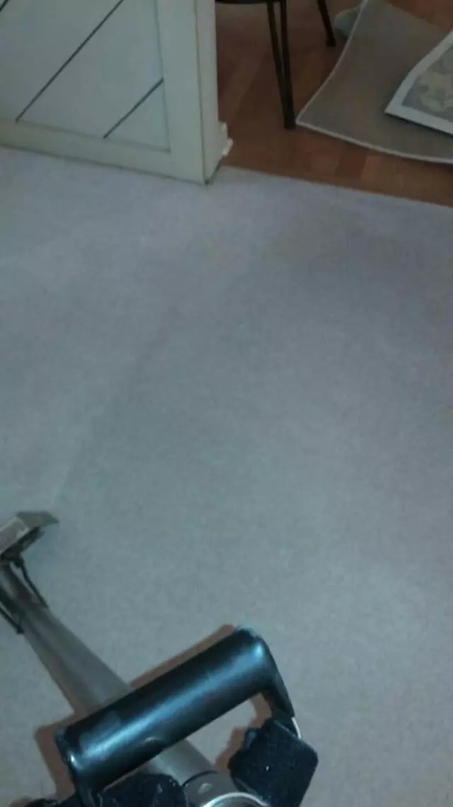 All-Timate Cleaning Pros