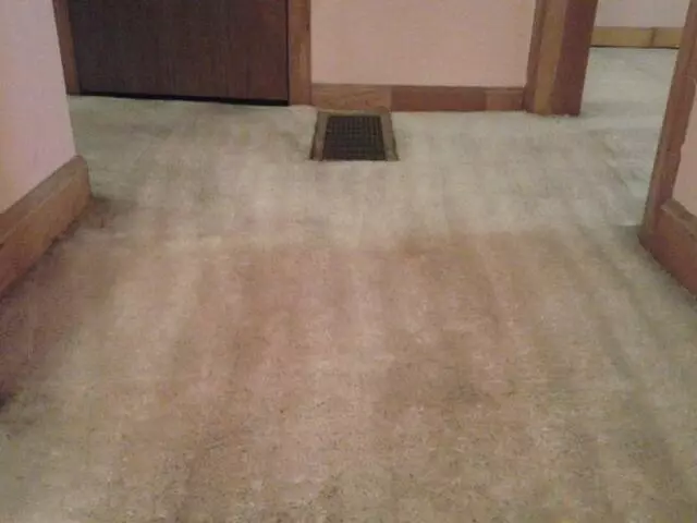 All-Timate Cleaning Pros