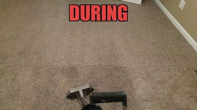 All-Timate Cleaning Pros