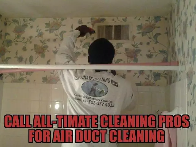 All-Timate Cleaning Pros