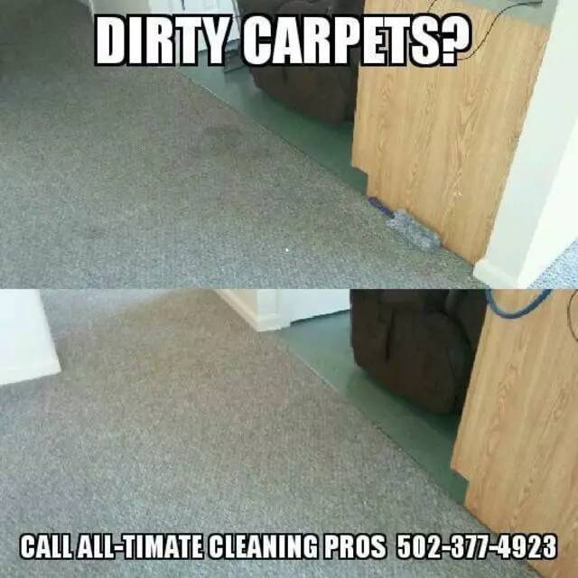 All-Timate Cleaning Pros
