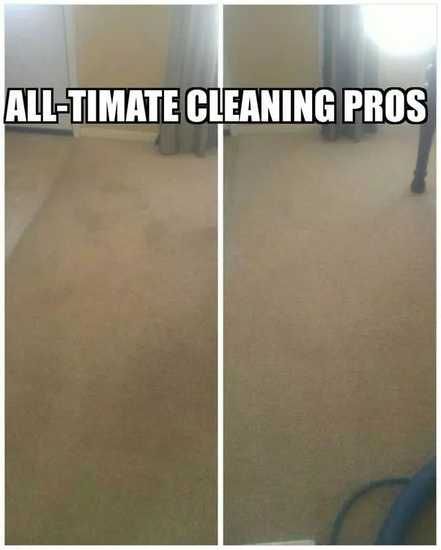 All-Timate Cleaning Pros