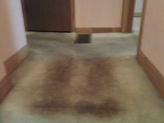 All-Timate Cleaning Pros