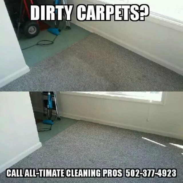 All-Timate Cleaning Pros