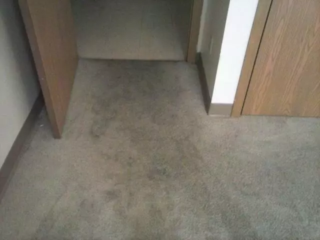 All-Timate Cleaning Pros