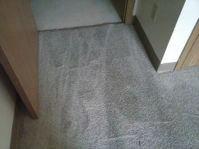All-Timate Cleaning Pros