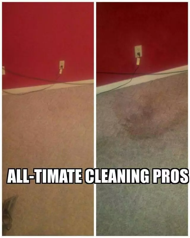 All-Timate Cleaning Pros