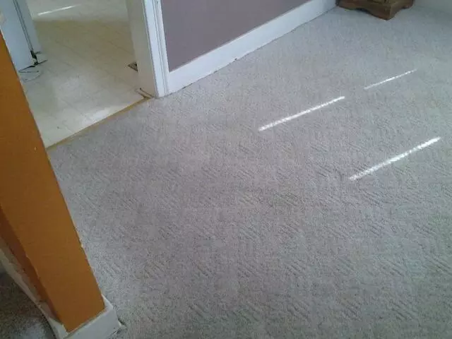 All-Timate Cleaning Pros